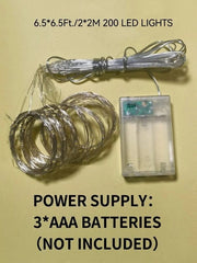 2M Curtain String Light